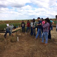 Acadêmicos de Agronomia participam de Agronomy Day ocorrido no IFMT