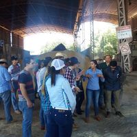 Alunos do IFMT Campus Campo Novo do Parecis realizaram visita técnica na Fazenda São Marcelo