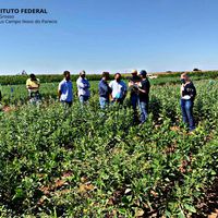 Agrícola Ferrari faz visita técnica em Campo Experimental do IFMT campus Campo Novo do Parecis 