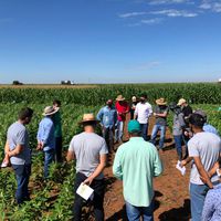 Campo Experimental do IFMT campus Campo Novo do Parecis recebeu visita de representantes agrícolas