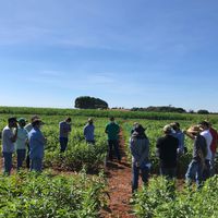 Campo Experimental do IFMT campus Campo Novo do Parecis recebeu visita de representantes agrícolas