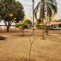 Setembro Amarelo