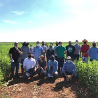 Campo Experimental do IFMT campus Campo Novo do Parecis recebeu visita de representantes agrícolas