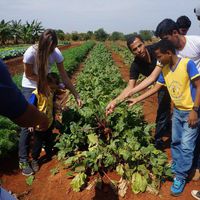 Alunos da APAE visitaram IFMT de Campo Novo do Parecis