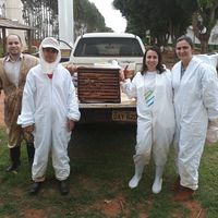 Especialista acompanha professores na revitalização de colmeias